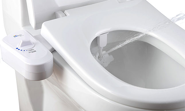 Picture of a bidet