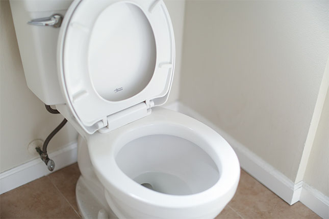 A picture of a toilet seat for fat person